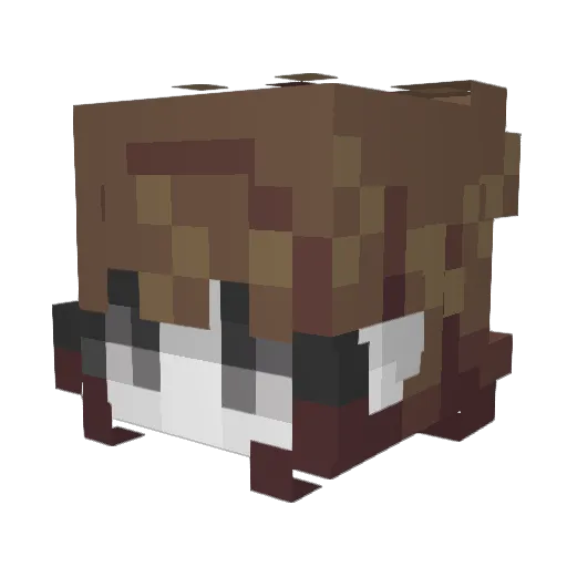 AgentMulberry Minecraft avatar head, 3D render