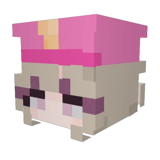 AgentNastya Minecraft avatar head, 3D render