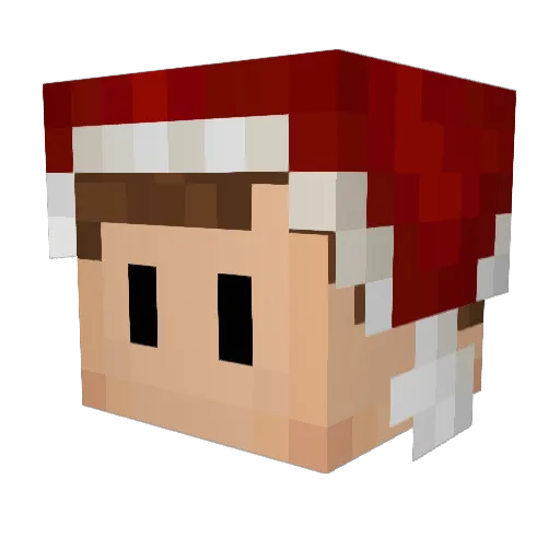 AgentNether Minecraft avatar head, 3D render