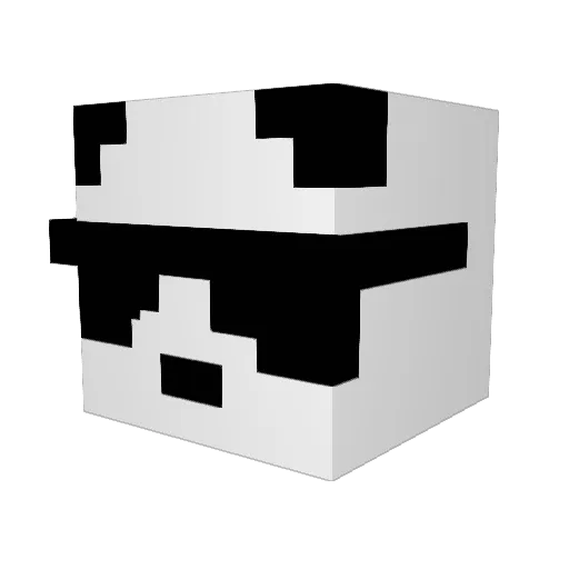 AgentPanda3502 Minecraft avatar head, 3D render