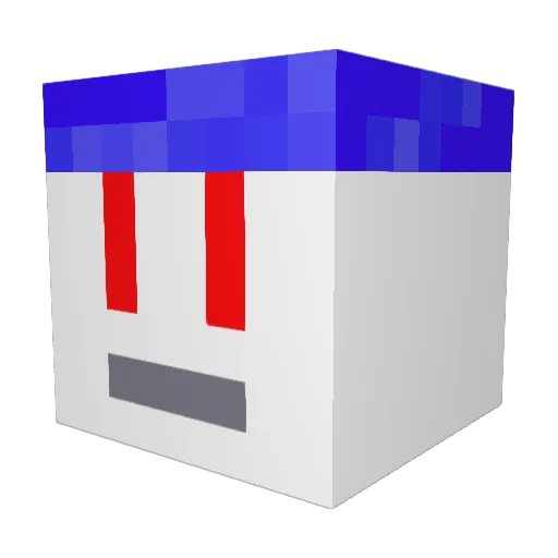 AgentPig14 Minecraft avatar head, 3D render