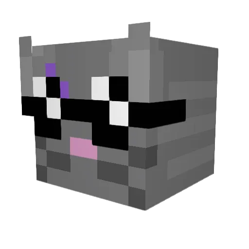 AgentRolero Minecraft avatar head, 3D render