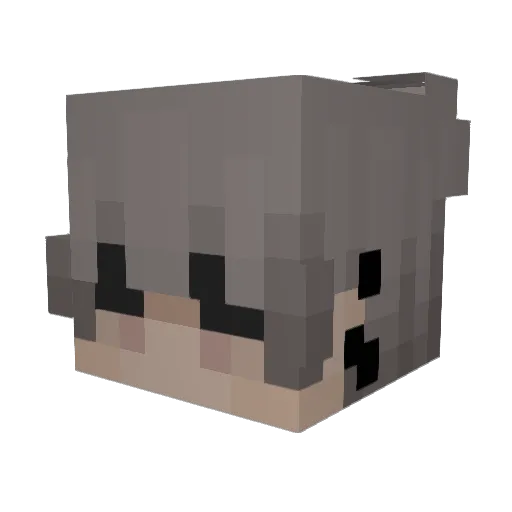 AgentTNK Minecraft avatar head, 3D render