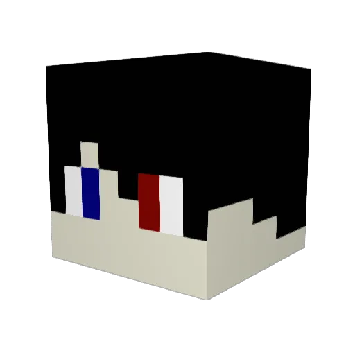 AgentThomas360 Minecraft avatar head, 3D render