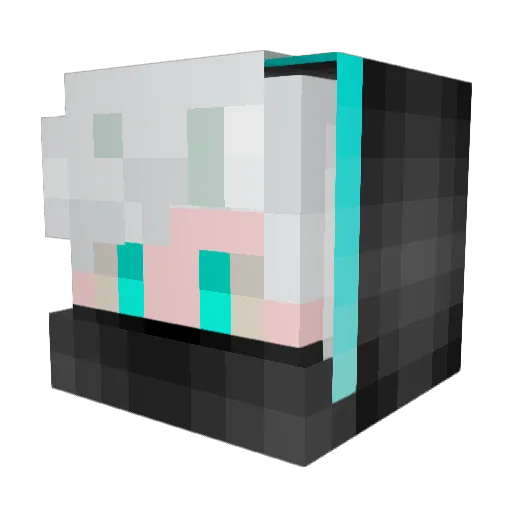 AgentTy150 Minecraft avatar head, 3D render