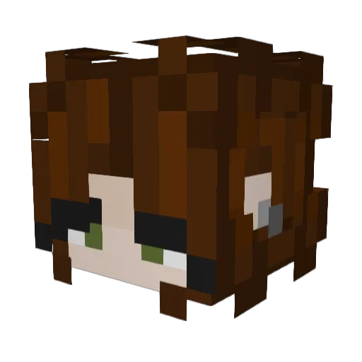 AgentZogert123 Minecraft avatar head, 3D render