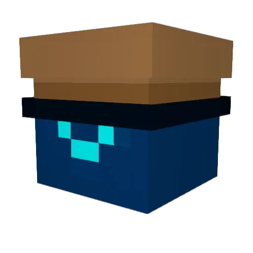 Agent_10_ Minecraft avatar head, 3D render