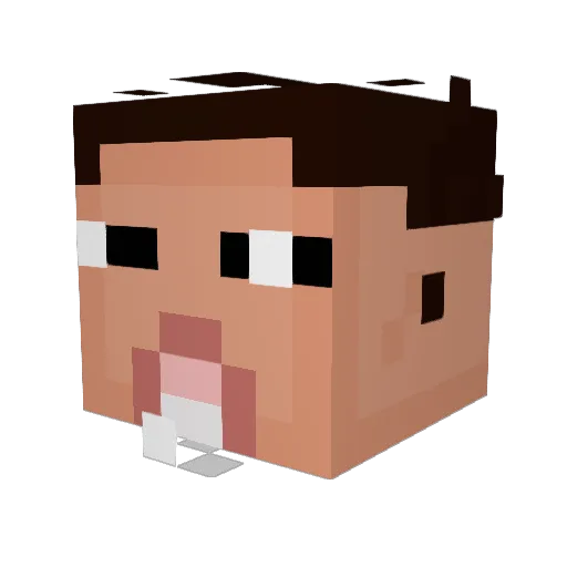 Agent_1564 Minecraft avatar head, 3D render