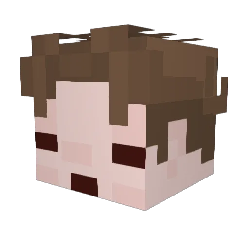 Agent_Benna Minecraft avatar head, 3D render