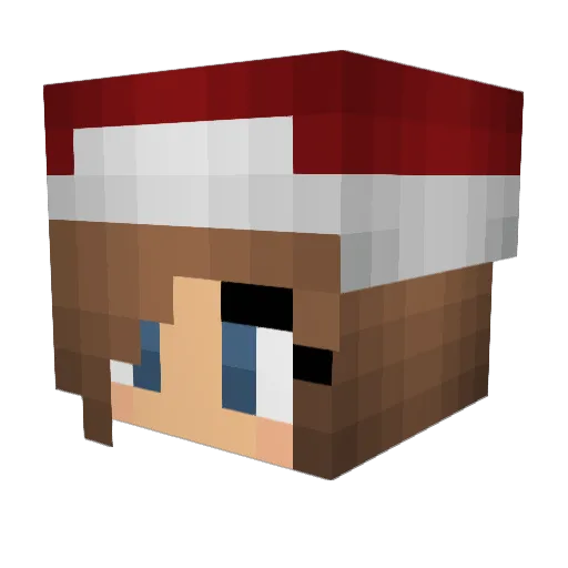 Agent_Bishop Minecraft avatar head, 3D render