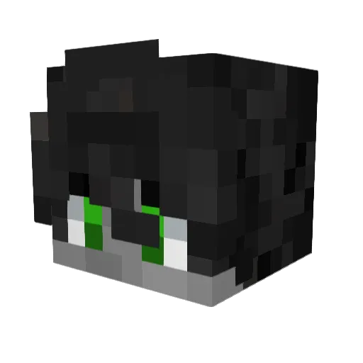 Agent_Fill Minecraft avatar head, 3D render