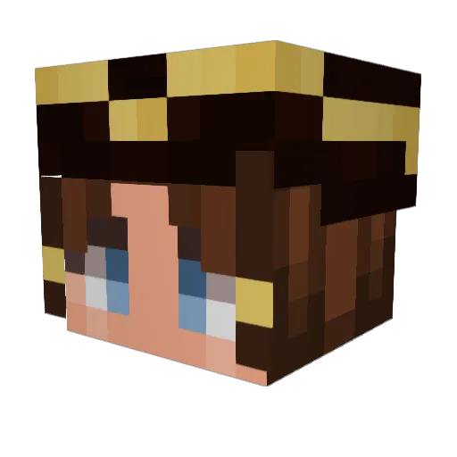 Agent_Fledermaus Minecraft avatar head, 3D render