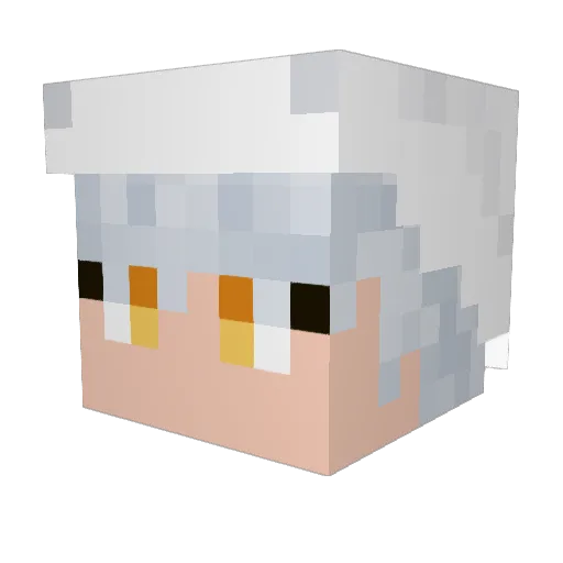 Agent_KittyPaws Minecraft avatar head, 3D render