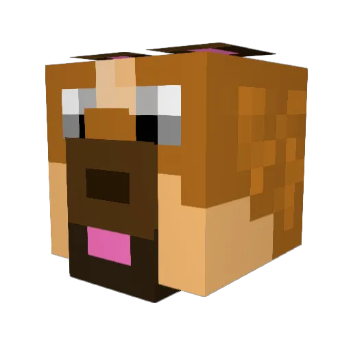 Agent_L34 Minecraft avatar head, 3D render