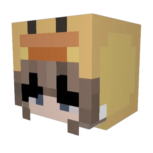 Agent_Nit Minecraft avatar head, 3D render