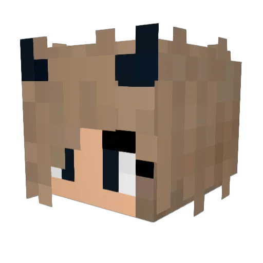 Agent_Utah14 Minecraft avatar head, 3D render