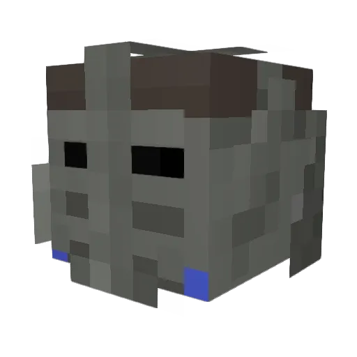 Agent_of_Hope Minecraft avatar head, 3D render