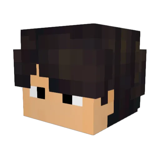 Agente4717 Minecraft avatar head, 3D render