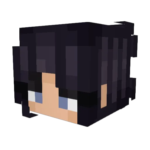 Agentw1234567 Minecraft avatar head, 3D render