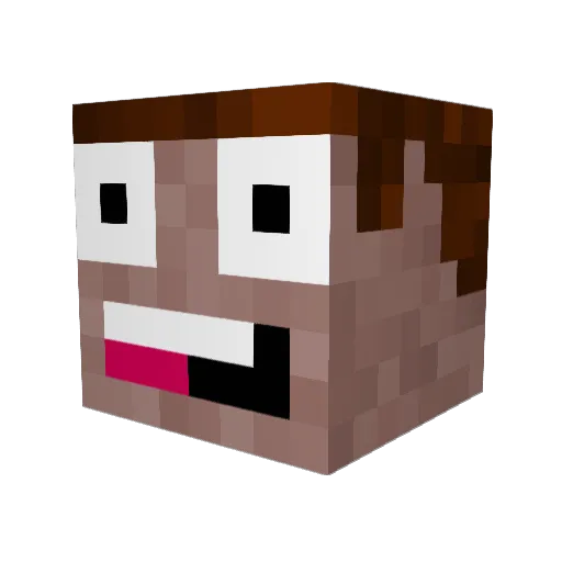 Agg1e5 Minecraft avatar head, 3D render