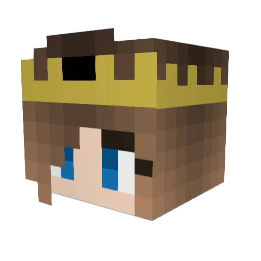 Aggie275 Minecraft avatar head, 3D render