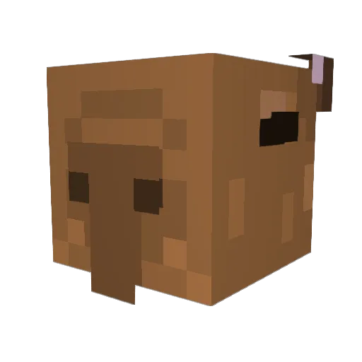 Aggouriss Minecraft avatar head, 3D render