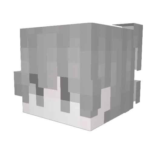 AggravatedSteel Minecraft avatar head, 3D render