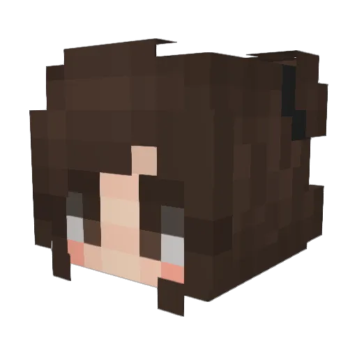 Agi26 Minecraft avatar head, 3D render
