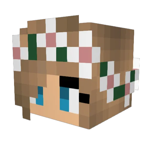 Agipka Minecraft avatar head, 3D render