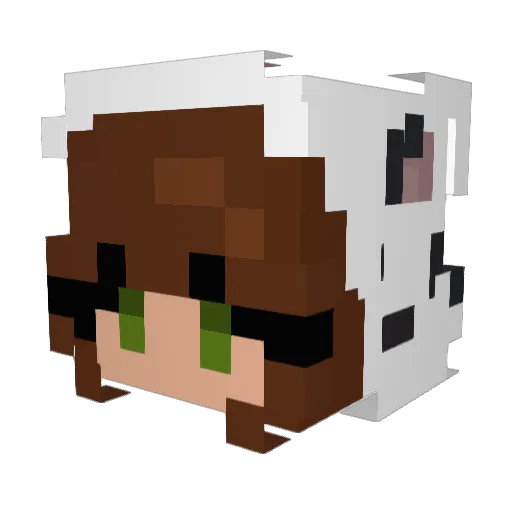 Agirl19 Minecraft avatar head, 3D render