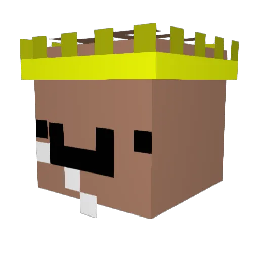 Agish Minecraft avatar head, 3D render