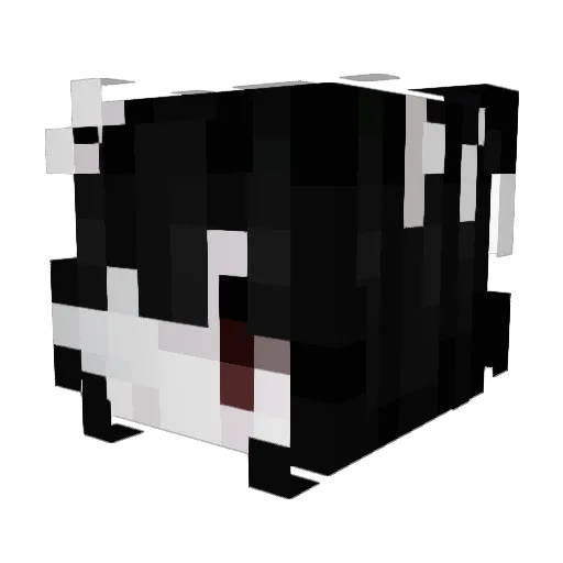 Agne5Tachyon Minecraft avatar head, 3D render