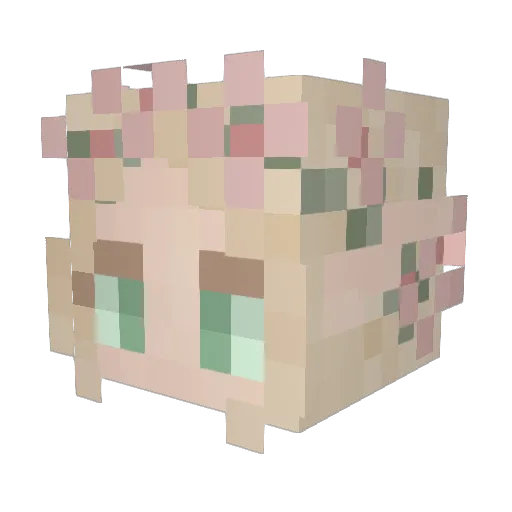 AgneauCeleste Minecraft avatar head, 3D render