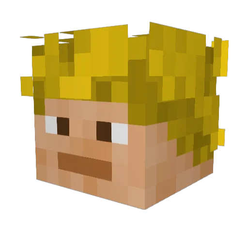 Agnector Minecraft avatar head, 3D render