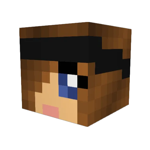 Agnes2504 Minecraft avatar head, 3D render