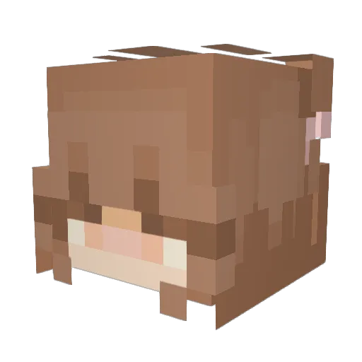 AgnesNotFound Minecraft avatar head, 3D render