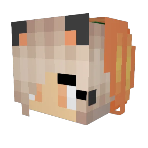 Agnes_L Minecraft avatar head, 3D render