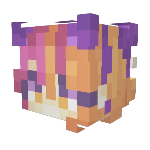 Agnesszinha Minecraft avatar head, 3D render