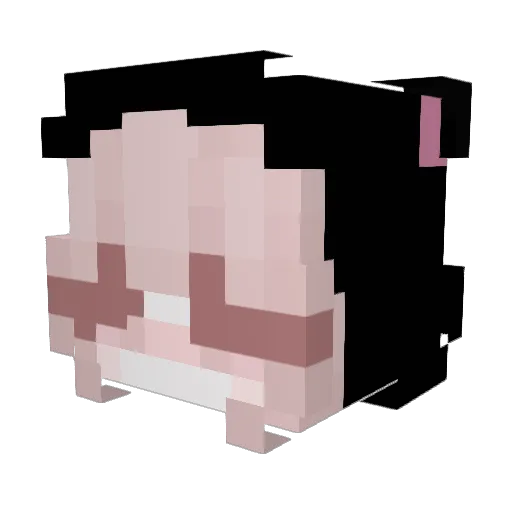 Agnisha Minecraft avatar head, 3D render