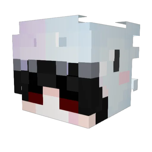 Agonyme Minecraft avatar head, 3D render