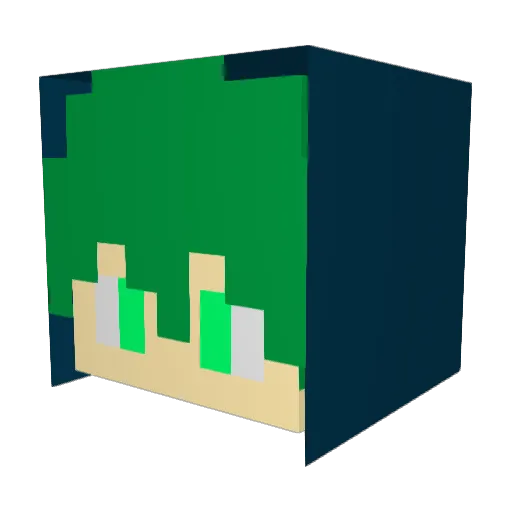 Agoti876 Minecraft avatar head, 3D render