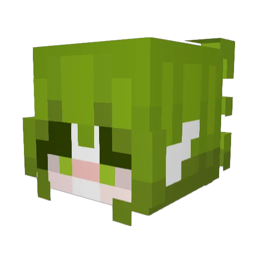 Agrado Minecraft avatar head, 3D render