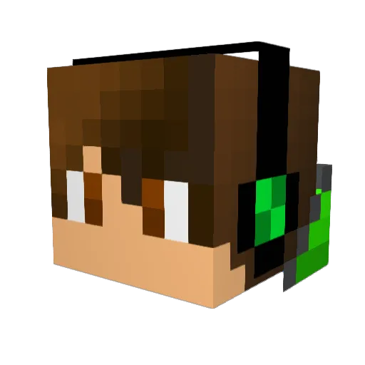 AgreedButton347 Minecraft avatar head, 3D render