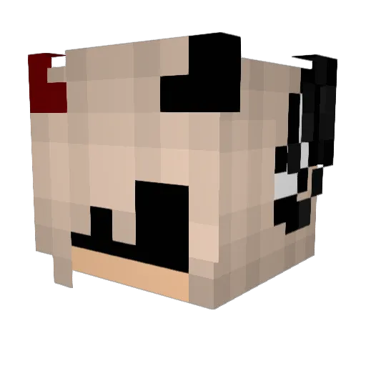 AgreedRobin107 Minecraft avatar head, 3D render
