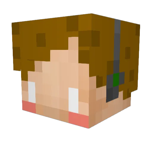 Agreenonion Minecraft avatar head, 3D render