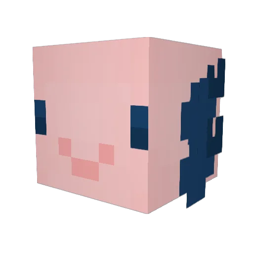 Agricarnation Minecraft avatar head, 3D render