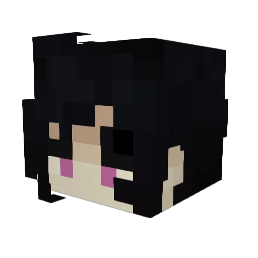AgroBorga Minecraft avatar head, 3D render