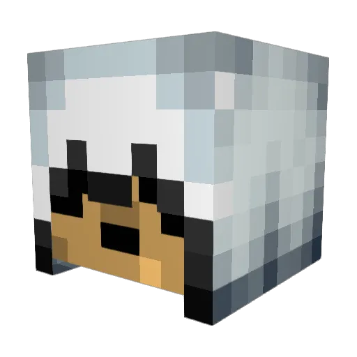 Agron133 Minecraft avatar head, 3D render