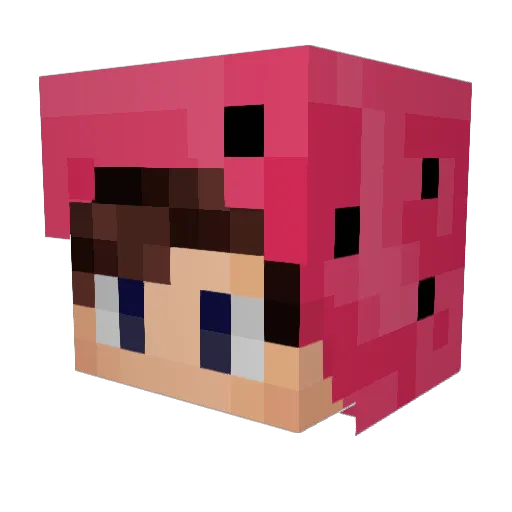 AgrosLehrling Minecraft avatar head, 3D render