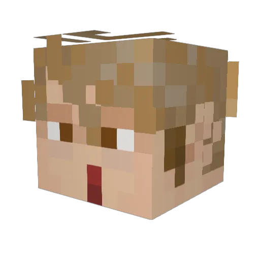 Agrox1977 Minecraft avatar head, 3D render
